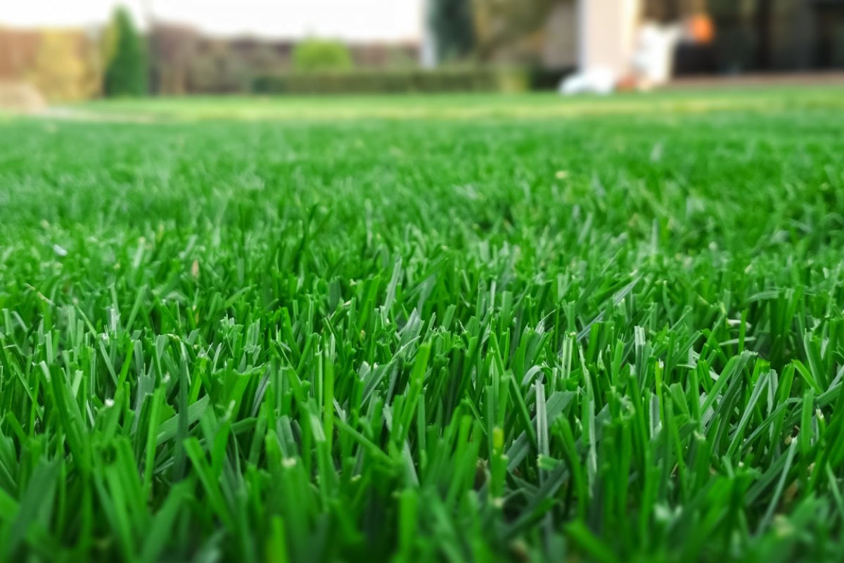 Hydroseeding equipment spraying green mulch slurry across a large bare residential lawn in Greater Binghamton NY for fast new lawn establishment