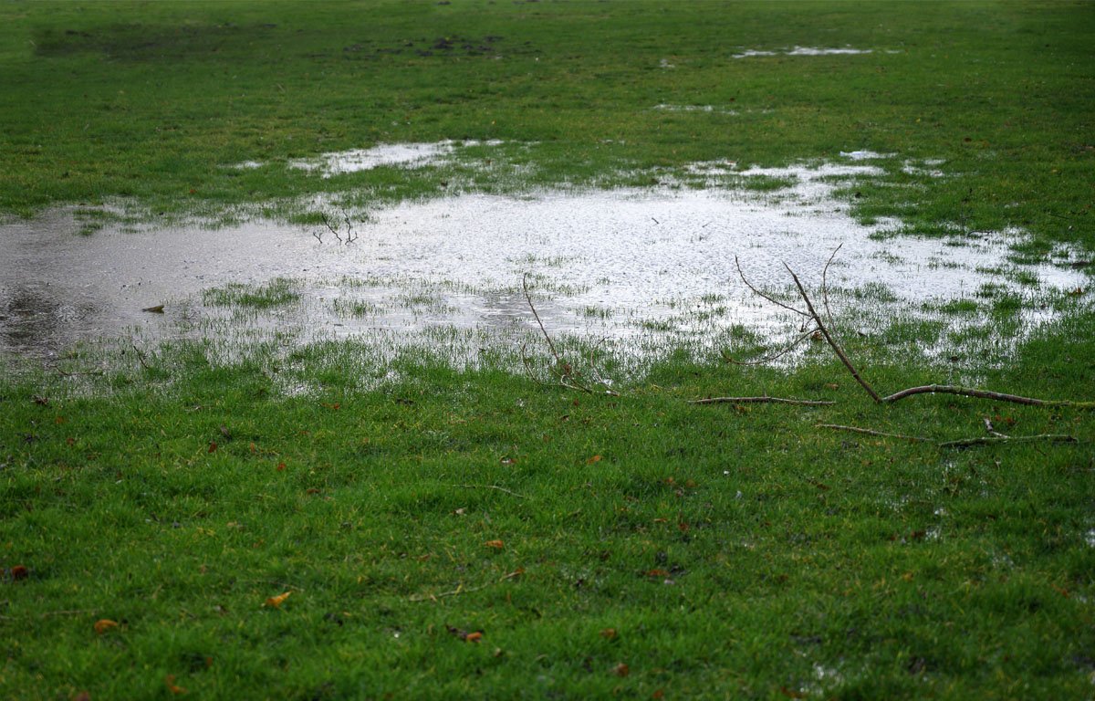 Water pooling in a residential yard indicating the need for professional landscape drainage installation