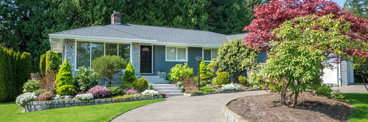 Landscape designer reviewing a residential yard plan with mature trees and garden beds