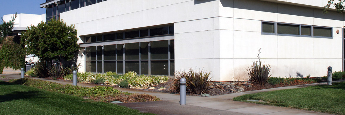 Well-maintained commercial property landscaping prepared for winter in Greater Binghamton NY