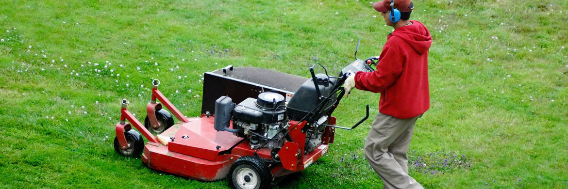 grass mowing company