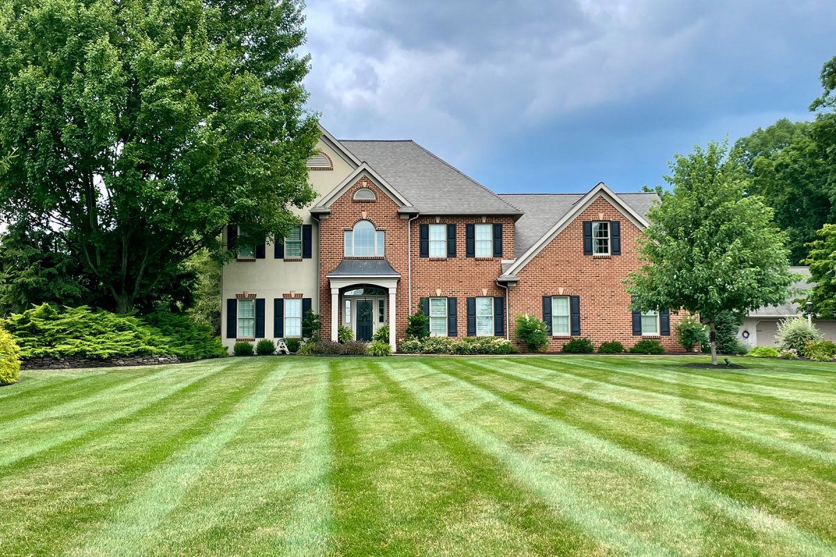 Bare lawn with thin patchy grass in a Greater Binghamton NY residential yard in early spring showing winter damage and areas ready for professional seeding