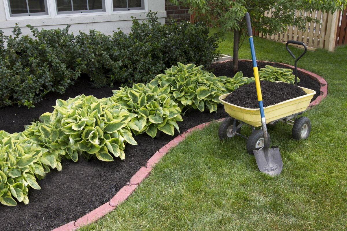 Freshly mulched ornamental garden beds around shrubs and perennials at a residential property in Greater Binghamton NY with clean defined bed edges in spring