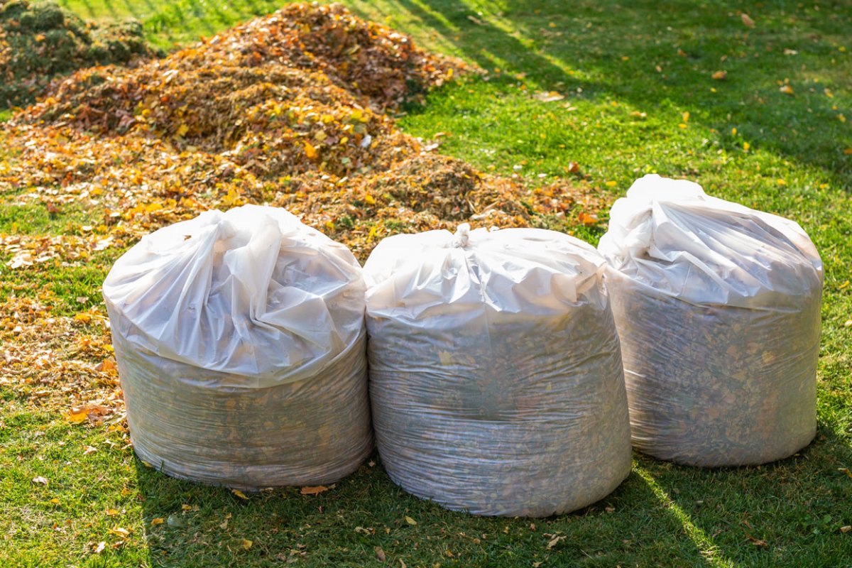 Professional lawn crew performing spring yard cleanup at a residential property in Greater Binghamton NY clearing debris and winter damage from lawn and garden beds