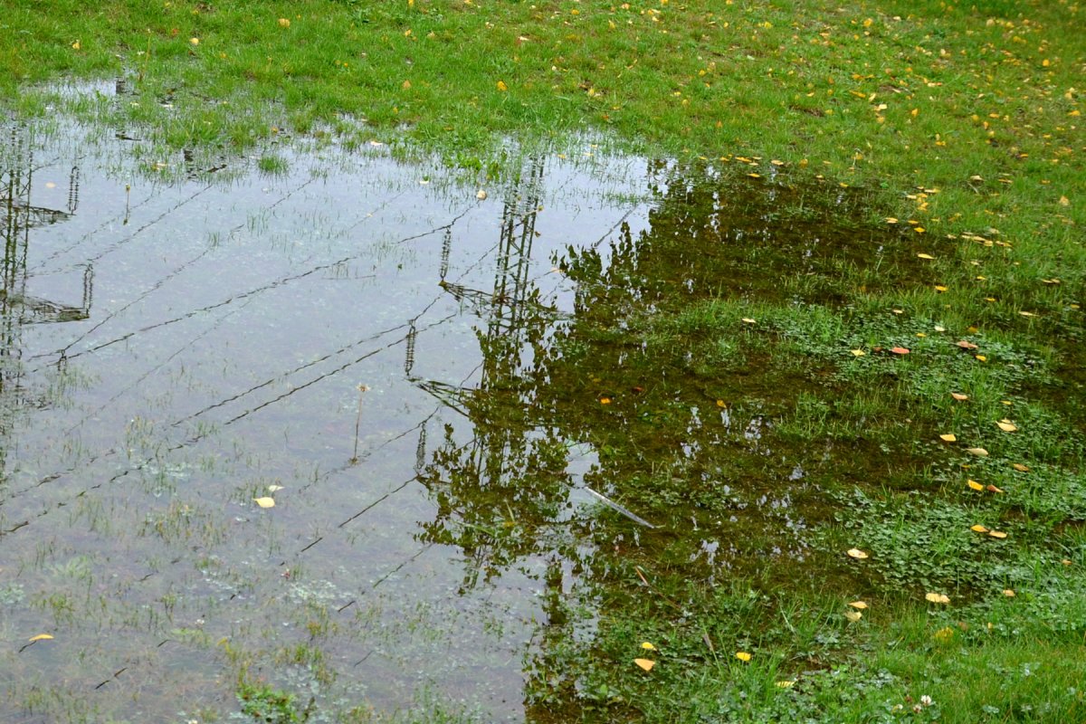 Standing water pooling in a residential backyard in Greater Binghamton NY after spring rain showing yard drainage problems near garden beds and lawn