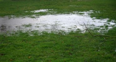 5 Signs Your Property Needs Landscape Drainage